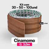 Cinamomo